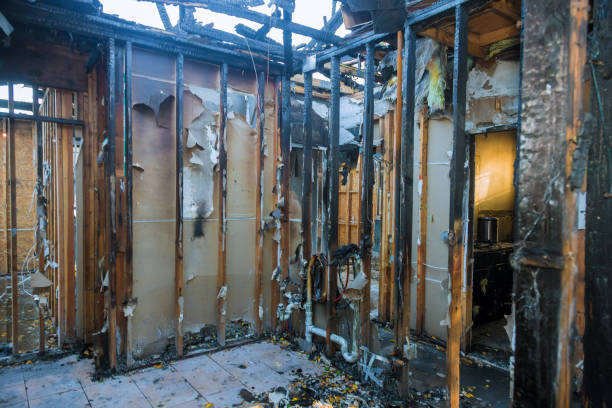 Professional Fire Damage Removal technician working in Winter Park, FL