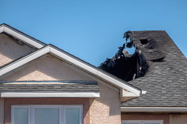 Top rated local Fire Damage Removal specialists in Winter Park, FL